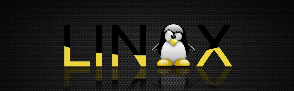 Commandes basiques dans Linux