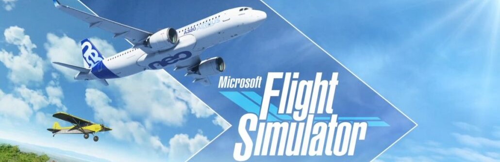 Simulateur de vol Flight Simulator